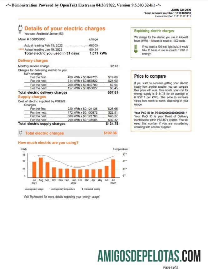 Em branco Conta de serviços públicos PSEG dos EUA, Nova York, modelo Word e PDF, 5 páginas 4